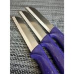 Solingen Meyve Bıçağı 12'li Simli Mor - Görsel 2