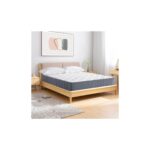 Pc Parrot Star Yaylı Yatak Tek Kişilik Çift Kişilik Çoçuk Yatakları 40 x 80 cm.