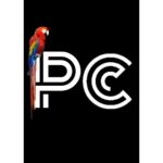 Pc Parrot Asteroit Yaylı Yatak Tek Kişilik Çift Kişilik Çoçuk Yatakları 40x80 Cm - Görsel 4
