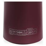 Tefal Motiva Termos - Bordo - 1 Litre - Görsel 5