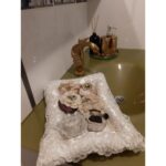 Finezza Rüya DekoratifFransız Dantelli İncili Krem Nişan Tepsisi 26*36 cm - 36 - Görsel 2