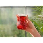 Paşabahçe Timeless Çay Bardağı 6 Lı - Görsel 3