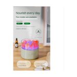 Internet 200ML USB Tuz Lambası Nemlendirici 2 In 1 Ev USB Gece Lambası Masaüstü Nemlendirici Iki Dişli Ayarlanabilir Açık Yeşil (Yurt Dışından) - Görsel 4