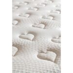 Arpi Bedding Arpi Elit Pedli Full Ortopedik Tek Kişilik Sünger Yatak - Görsel 4