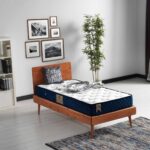Argimo Blue Tek Kişilik Kuş Tüy Örme Kumaşlı Ortopedik Yatak 90x190