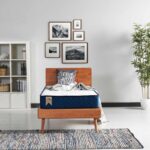 Argimo Blue Tek Kişilik Kuş Tüy Örme Kumaşlı Ortopedik Yatak 90x190 - Görsel 3