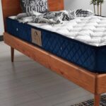 Argimo Blue Tek Kişilik Kuş Tüy Örme Kumaşlı Ortopedik Yatak 90x190 - Görsel 5