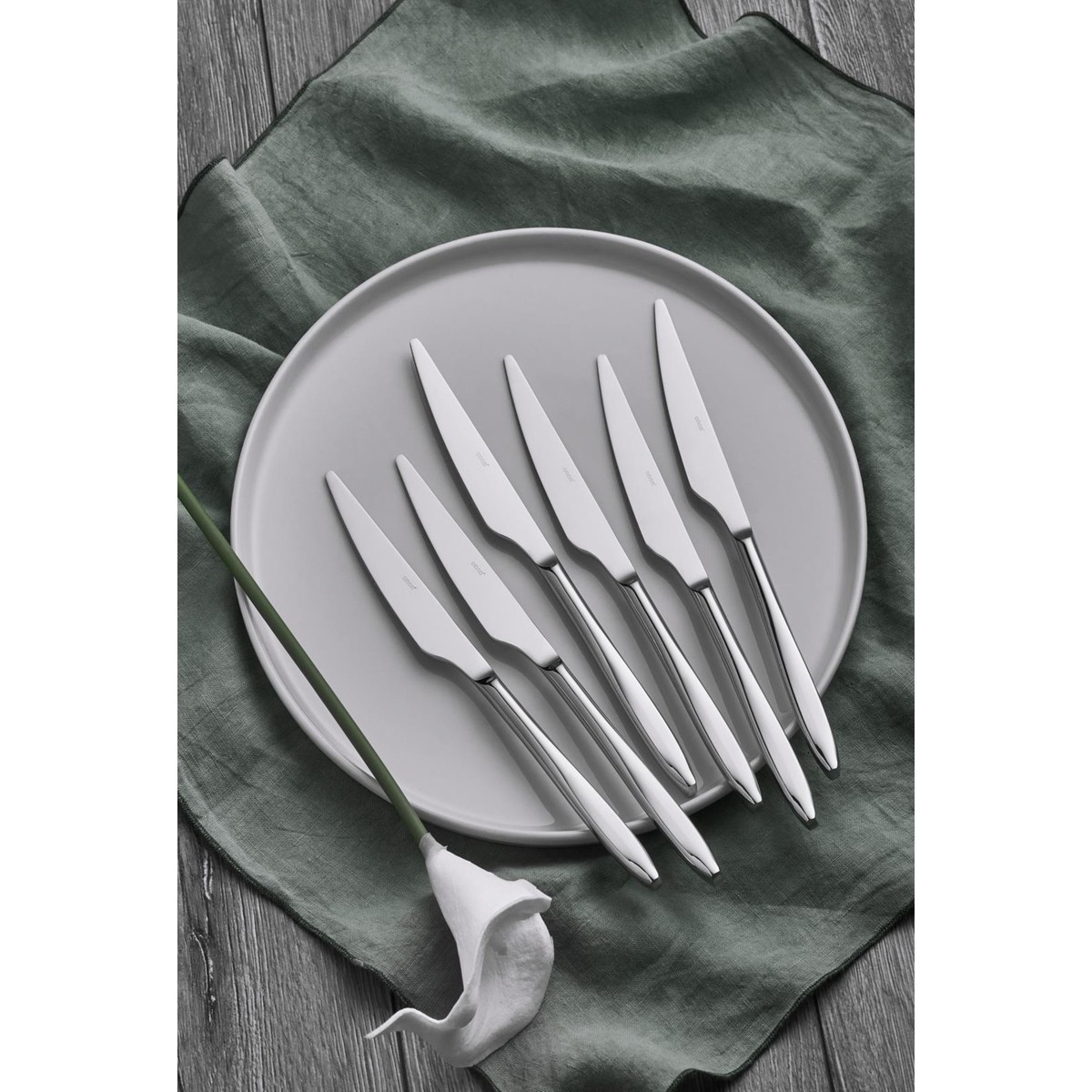 110000764324619.jpg Onon Assos Yemek Bıçak 6'lı 18/10 - Görsel 1