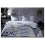 Taç Yeni Sezon Tek Kişilik Nevresim Takımı Lucas Mavi - Görsel 3