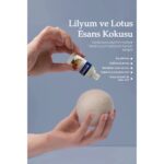 Evonox Clean 3 Adet Çamaşır Yün Keçe Kurutma Topu + 30ML Esans Koku Hediye - Doğal ve Çevre Dostu - Görsel 3