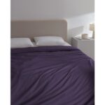 Madame Coco Manon Çift Kişilik Pamuk Ranforce Düz Nevresim  Mor - Görsel 2