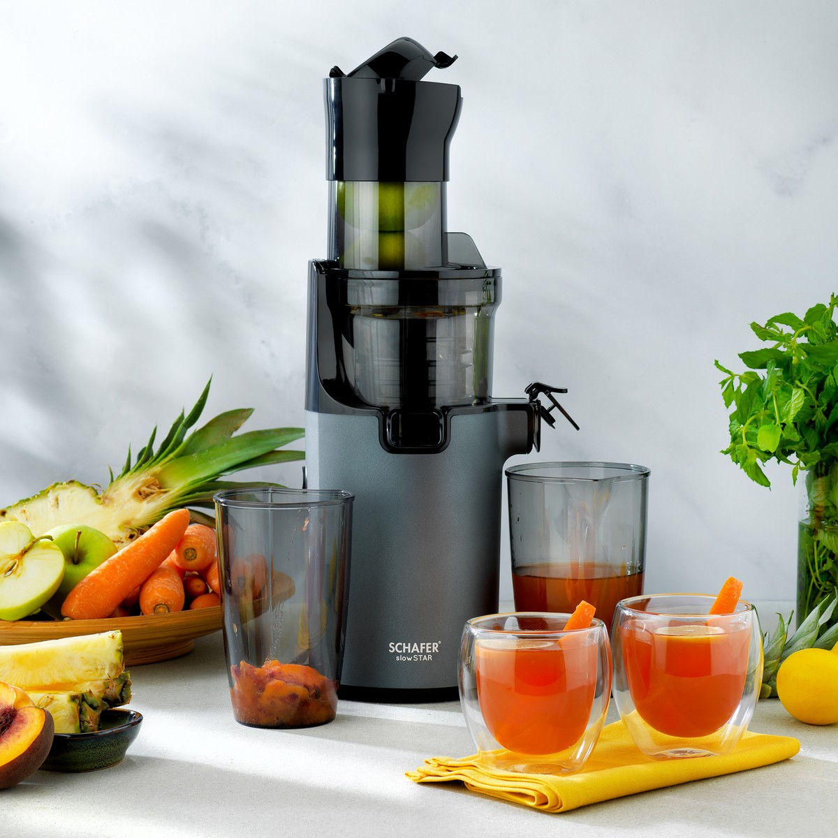 110000804309902.jpg Schafer Slow Star Sebze ve Meyve Sıkacağı-Antrasit - Görsel 1