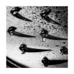 Staub B Döküm Tencere 24 cm Kiraz - Görsel 3