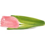 Qearl Düğün Odası Için Ş Tabağı Şekli Yemek Tabağı (Yurt Dışından) - Görsel 2