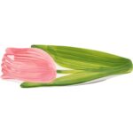 Qearl Düğün Odası Için Ş Tabağı Şekli Yemek Tabağı (Yurt Dışından) - Görsel 5