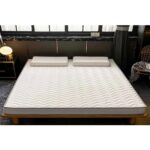 Avocado Katlanır Taşınabilir Işlevsel 150X200 Cotton Yer Yatağı 10 cm - Görsel 2