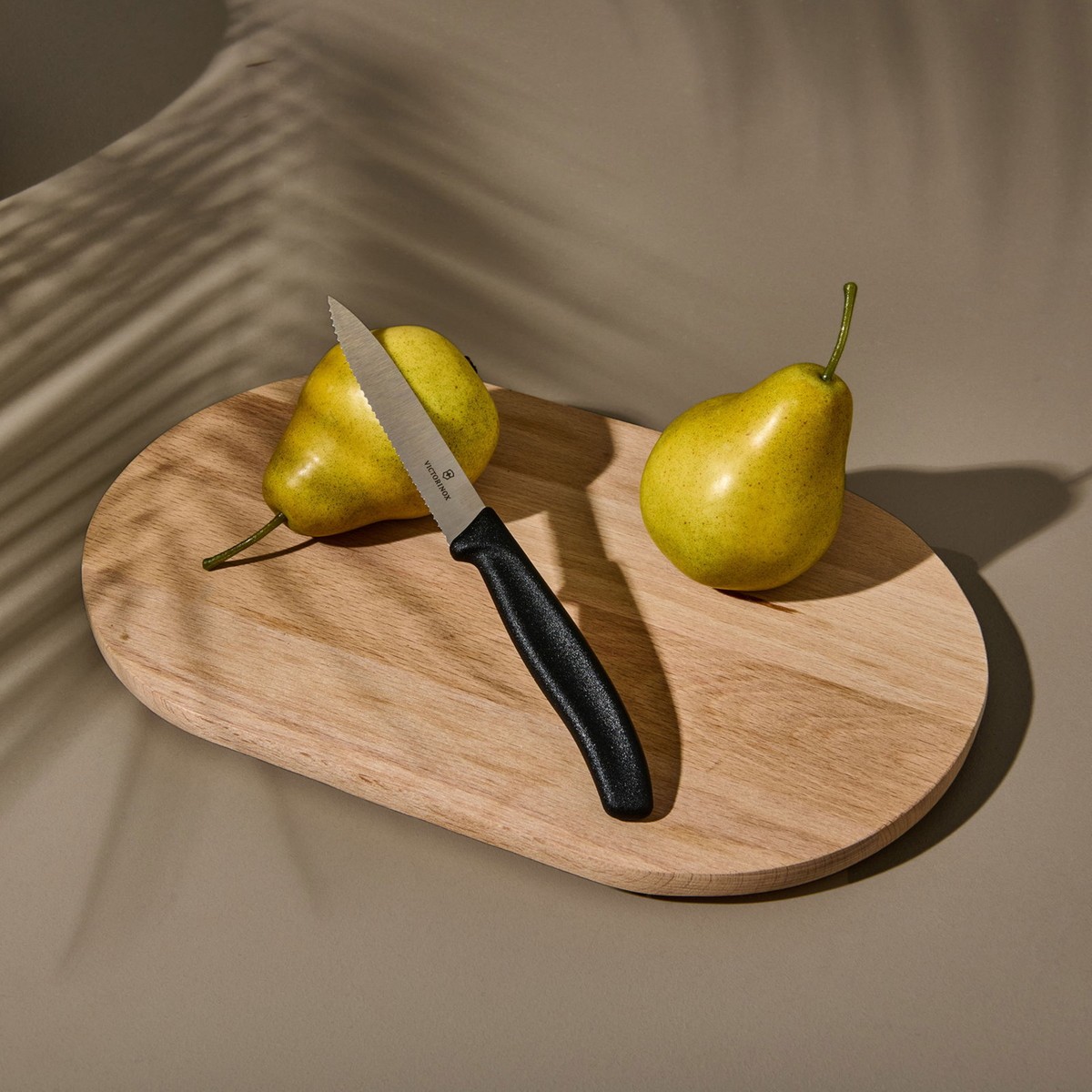 110001048567458.jpg Matmel 6.7733 Tırtıklı Soyma Bıçağı - Siyah - 10 cm - Görsel 1