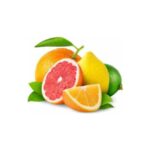 Kiwi KCJ-1803 Narenciye Sıkacağı Otomatik - Görsel 4