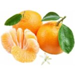 Kiwi KCJ-1803 Narenciye Sıkacağı Otomatik - Görsel 5