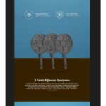 GRILL'O GR708 Anımals Pancake Tava - Görsel 5