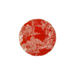 Bone Olympos 6 Kişilik 28 Parça Yemek Takımı Kırmızı Dekorlu 11573 - Görsel 4