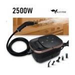 Valkyrie 2500W Yüksek Basınçlı Buharlı Temizleyici  6 Kademeli Güç Ayarı 10 Farklı Başlık Çok Fonksiyonlu Temizlik Makinesi