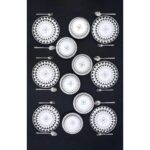 Yiğit Seramik Züccaciye Siyah Elips Model 6 Kişilik 24 Parça Yemek Takımı