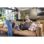 Woodhub 12V 1.5AH Li-Ion Pet Başlıklı Taşınabilir Şarjlı El Süpürgesi - Görsel 3