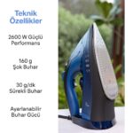 Fakir Flyjet Buharlı Ütü - Mavi - Siyah - Görsel 2