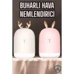 AyrStore Hava Nemlendirici Aromaterapi Hava Temizleyici Renk Değiştirebilen