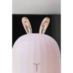 AyrStore Hava Nemlendirici Aromaterapi Hava Temizleyici Renk Değiştirebilen - Görsel 5