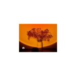 River World Hava Için Nemlendirici Lambalı Gün Batımı - Görsel 5