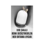 AyrStore Aromaterapi Hava Temizleyici Buhar Makinesi Taşınabilir Şarjlı