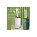 Femina Trendy 1000 ml Ultrasonik Hava Nemlendirici Işıklı Buhar Makinesi ve Aroma Difüzörü (5224)